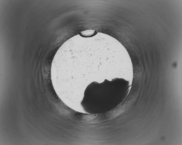 X0000116840139201001291712