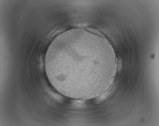 X0000116840140201001291712