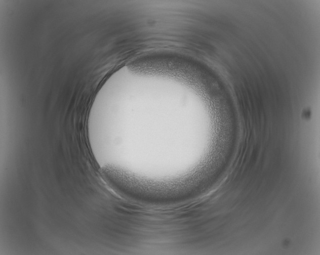 X0000116840141201001291712