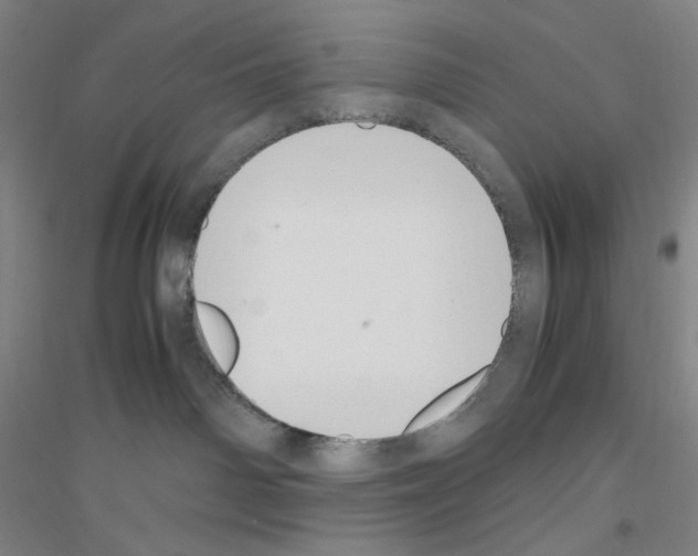 X0000116840142201001291712