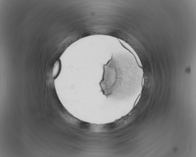 X0000116840143201001291712