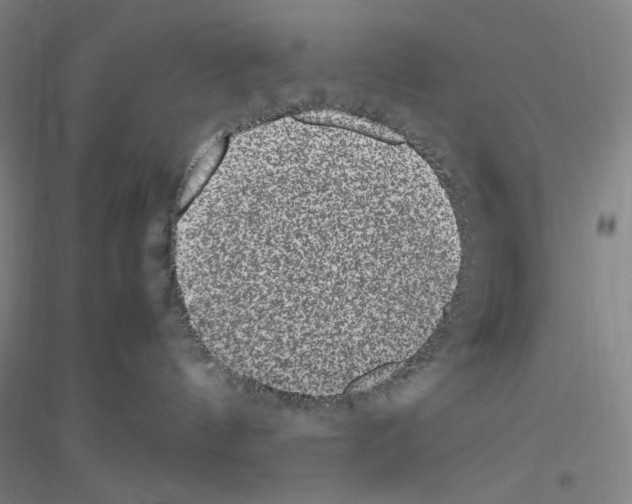 X0000116840144201001291712