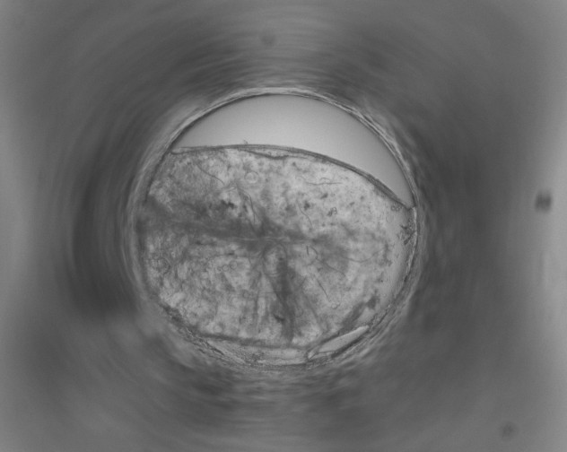 X0000116840145201001291711