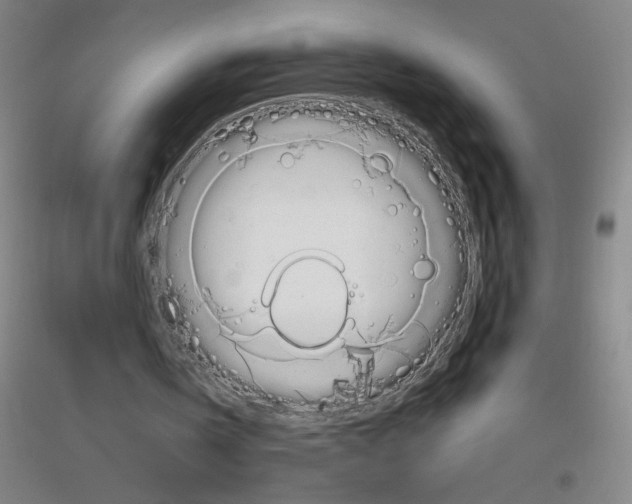 X0000116840146201001291712