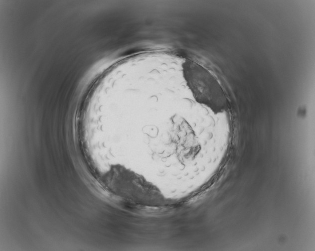 X0000116840149201001291712