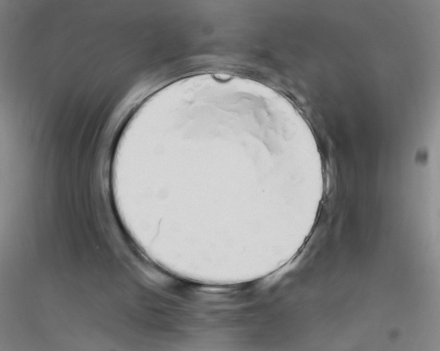 X0000116840150201001291712