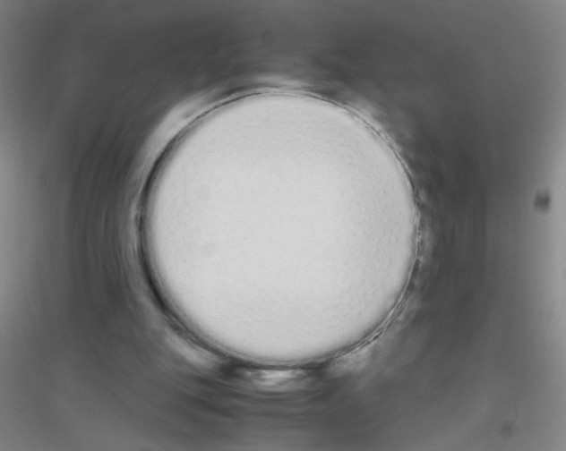 X0000116840151201001291712