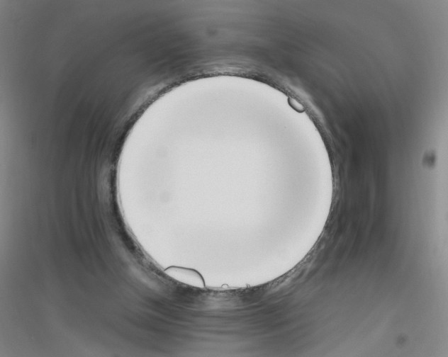 X0000116840154201001291712