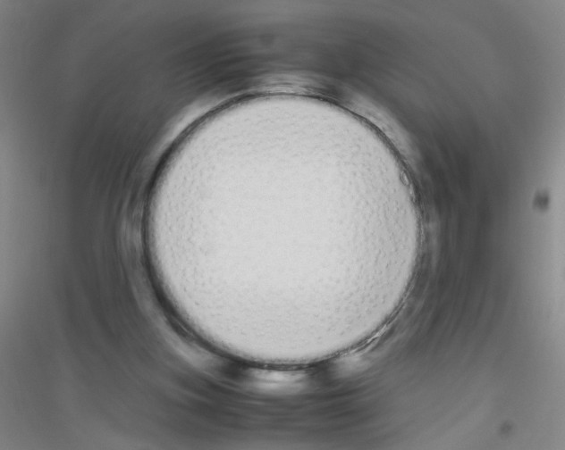X0000116840155201001291712