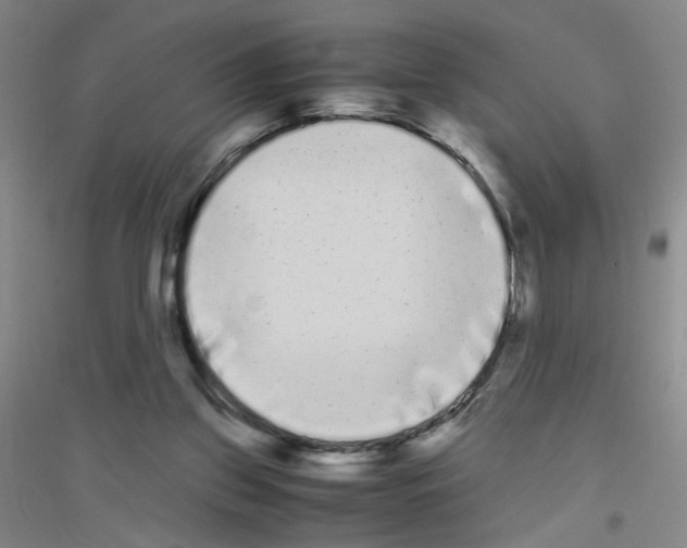 X0000116840157201001291712
