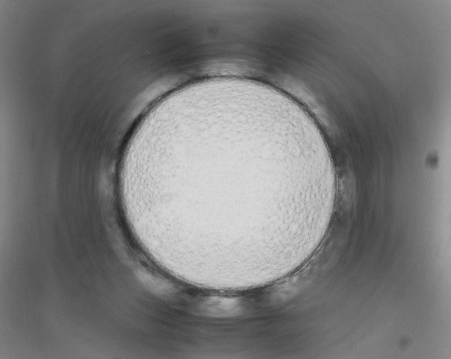 X0000116840159201001291712