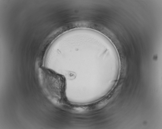 X0000116840161201001291712