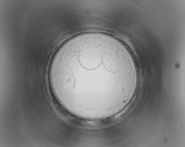 X0000116840162201001291712