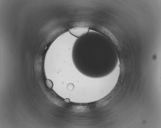 X0000116840163201001291712