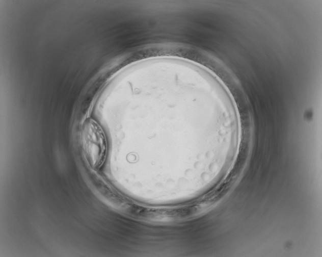 X0000116840165201001291712