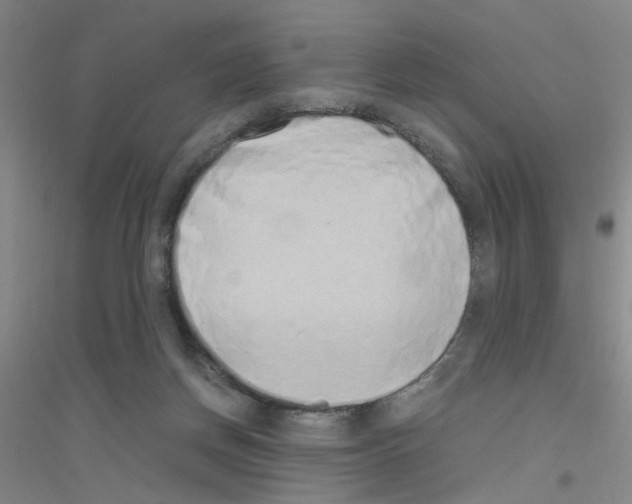X0000116840166201001291712