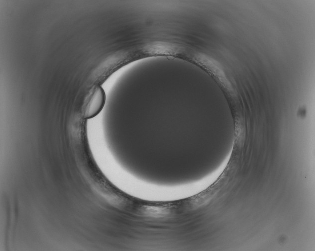 X0000116840167201001291712
