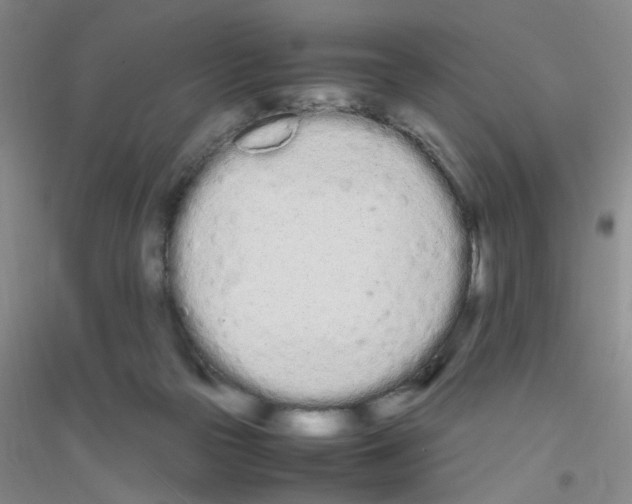 X0000116840169201001291712