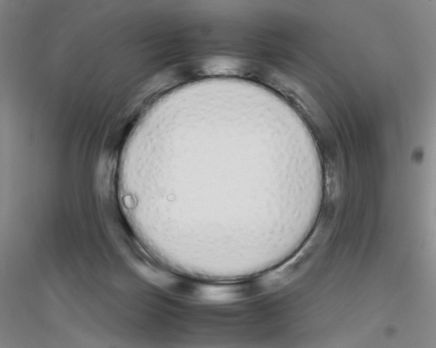 X0000116840171201001291712