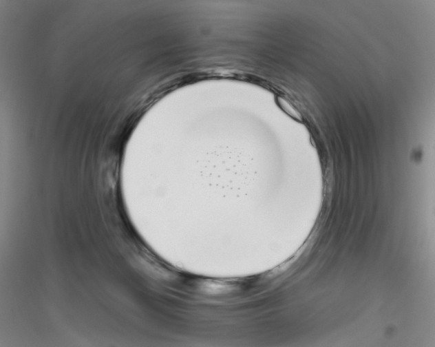 X0000116840174201001291712
