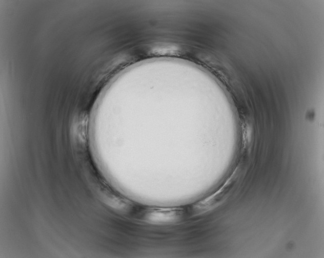 X0000116840175201001291712