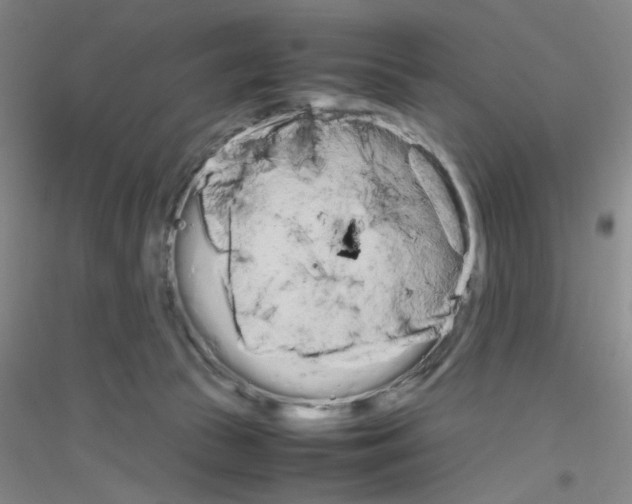 X0000116840177201001291712