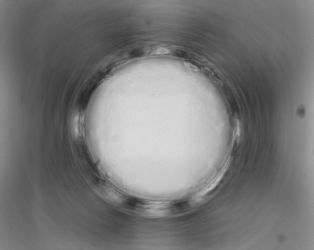X0000116840178201001291712