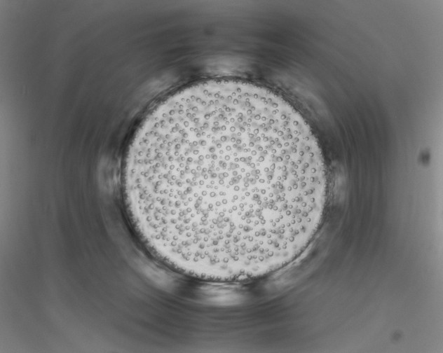 X0000116840179201001291712