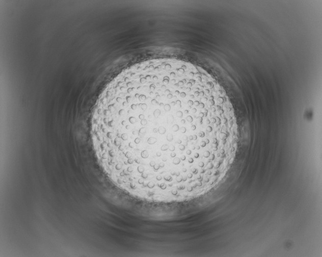 X0000116840183201001291712