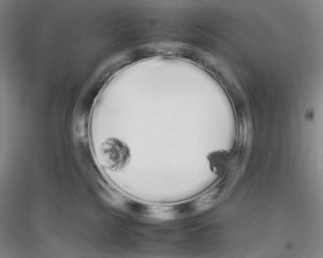 X0000116840185201001291712
