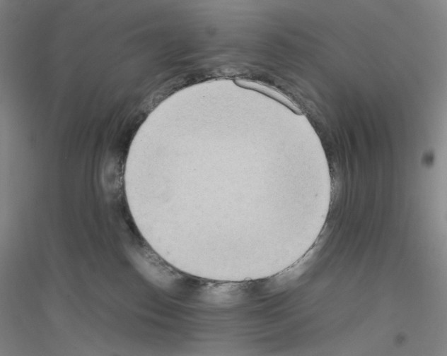X0000116840186201001291712