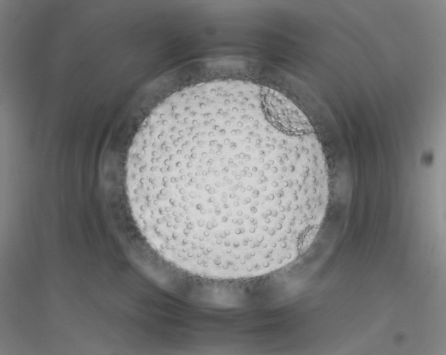 X0000116840187201001291712