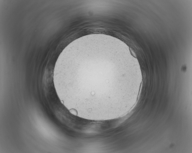 X0000116840190201001291712