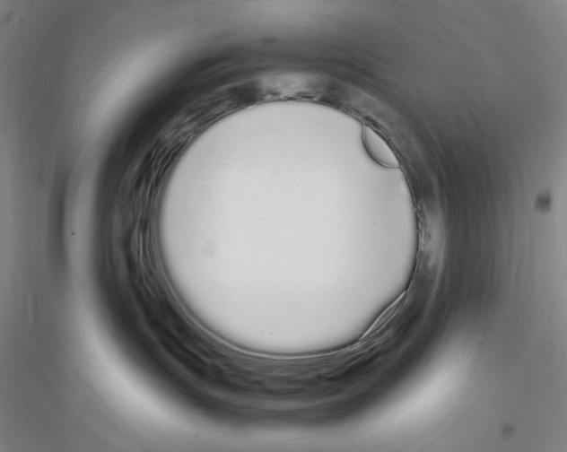 X0000116840191201001291712