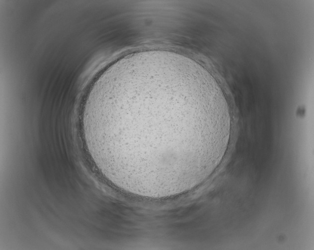 X0000116840194201001291711