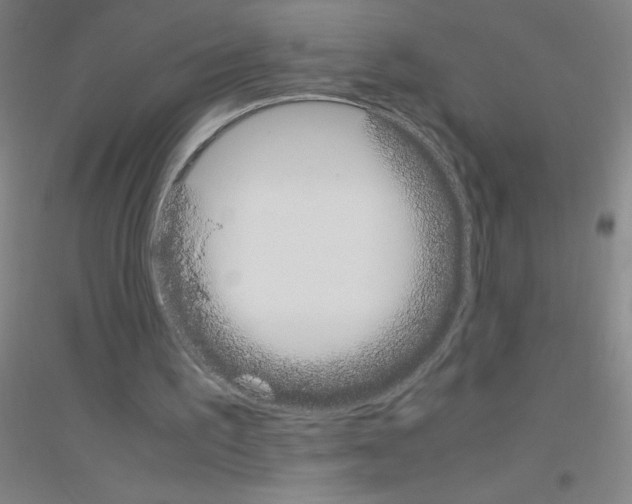 X0000116840195201001291711