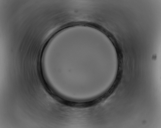 X0000116840196201001291711