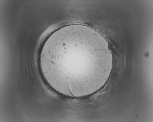 X0000116840197201001291711