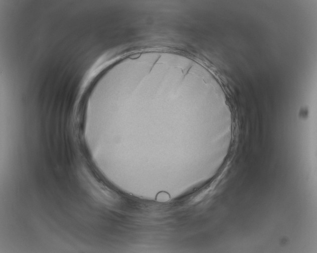 X0000116840198201001291711