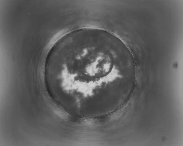 X0000116840199201001291711