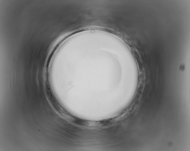 X0000116840200201001291711