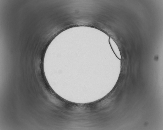 X0000116840201201001291711