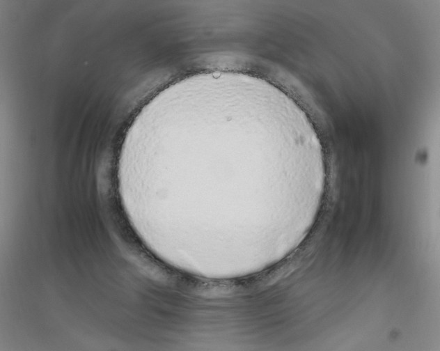 X0000116840202201001291711