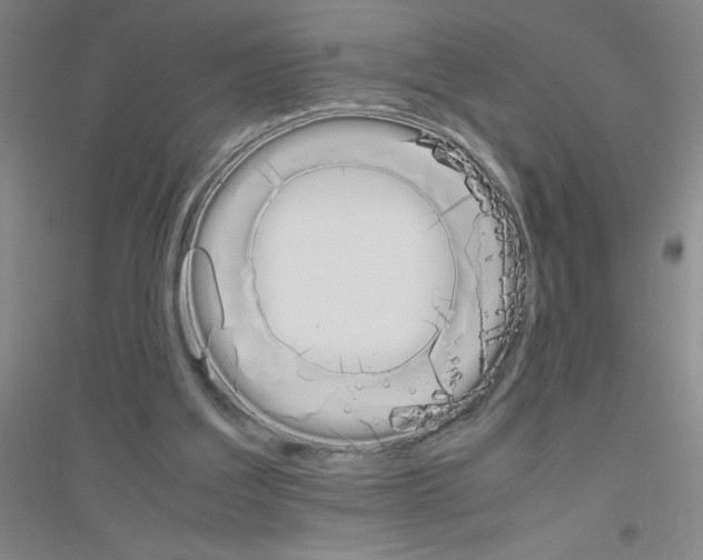 X0000116840203201001291711