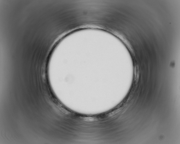 X0000116840204201001291711