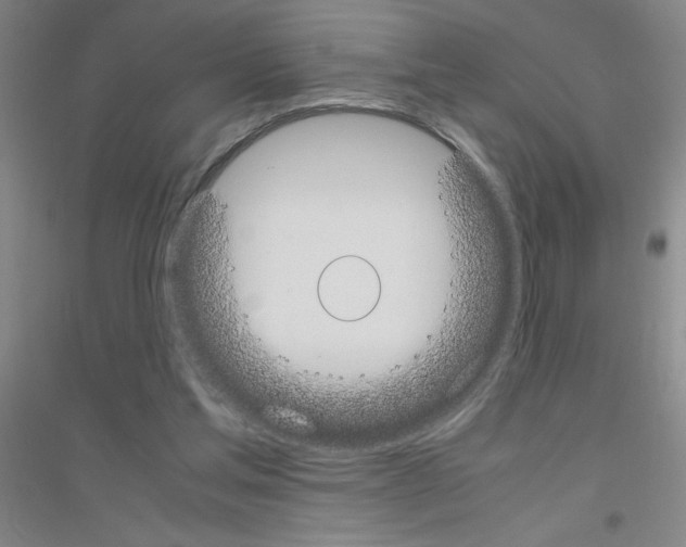 X0000116840205201001291711