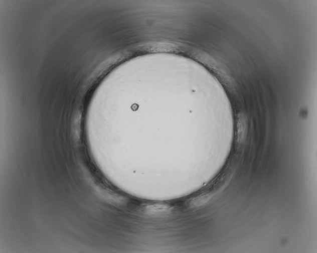 X0000116840206201001291711