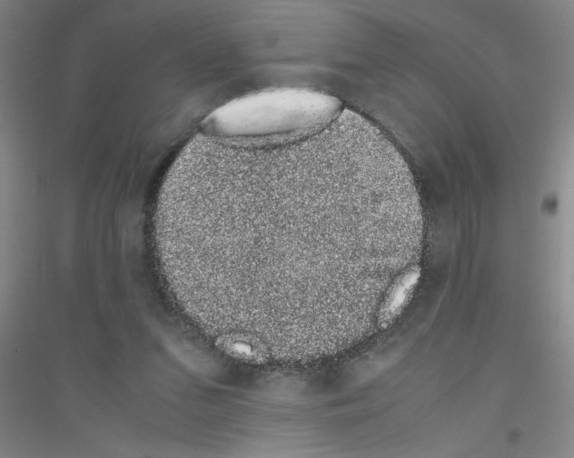 X0000116840207201001291711