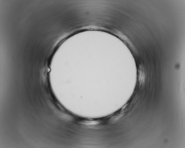X0000116840208201001291711
