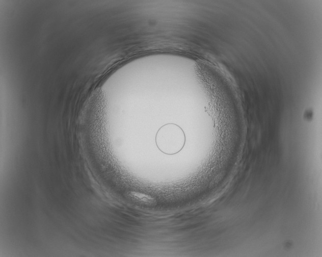 X0000116840209201001291711